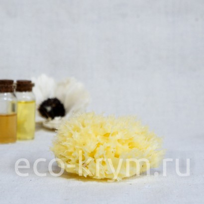 Морская Губка органическая для лица (6,0 - 7,5 см.)